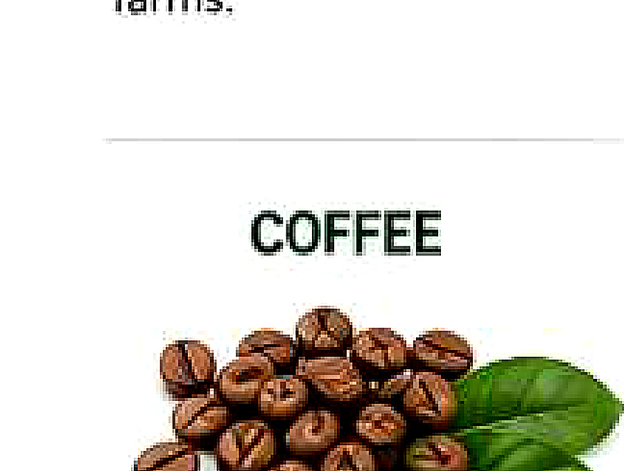 Coffee image from company profile PDF