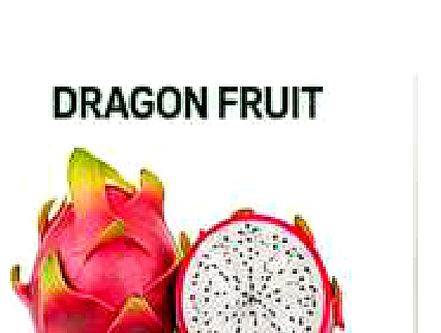 Dragon Fruit image from company profile PDF