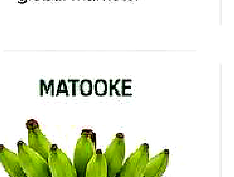 Matooke image from company profile PDF