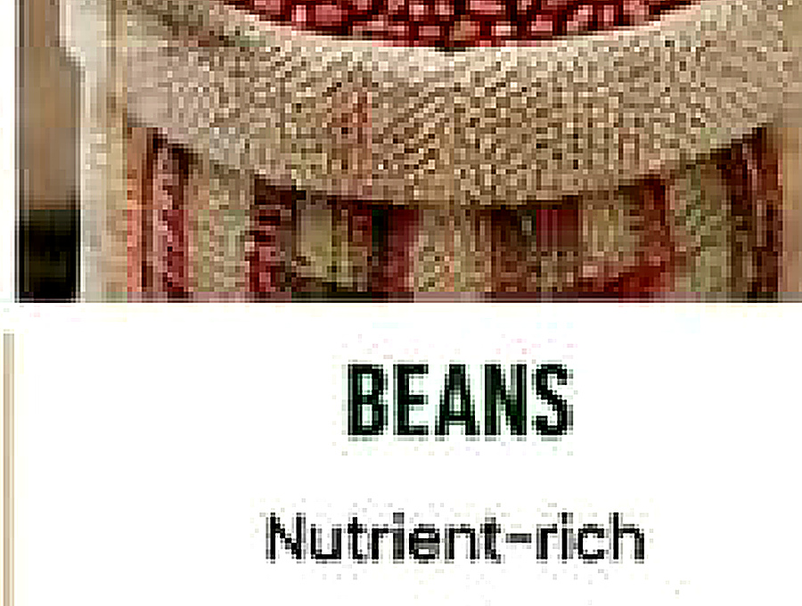 Beans image from company profile PDF