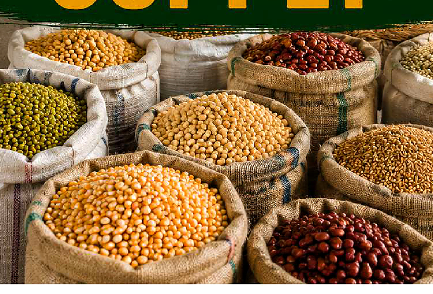 Rhylo grain produce image from company profile PDF