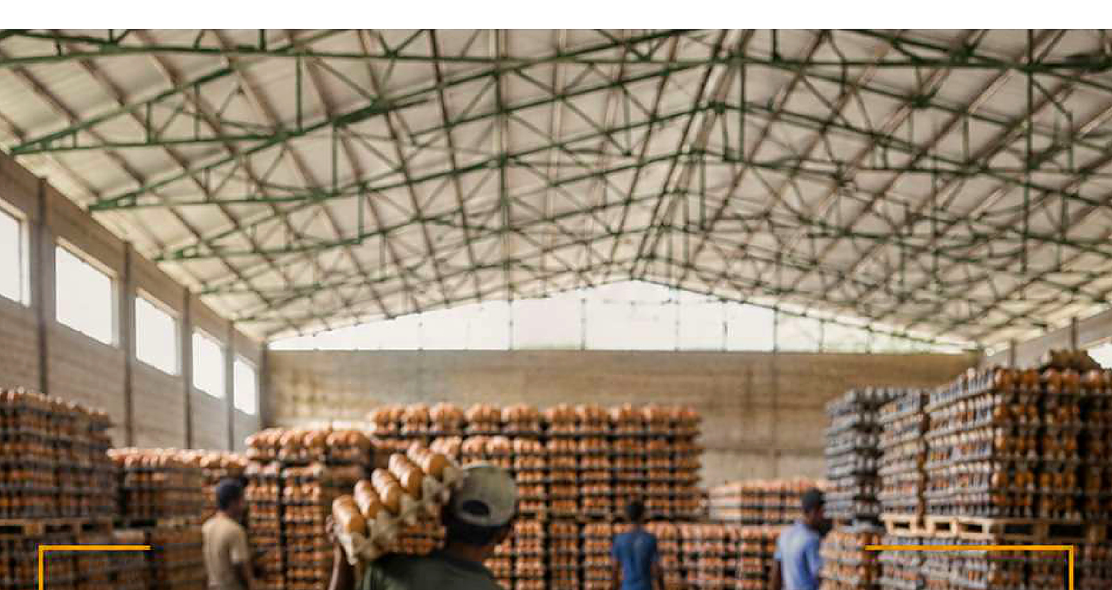 Rhylo warehouse image from company profile PDF